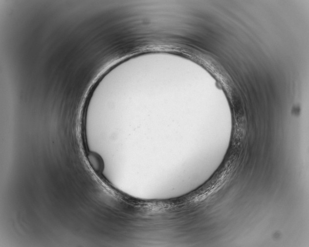X0000103440803200810031412