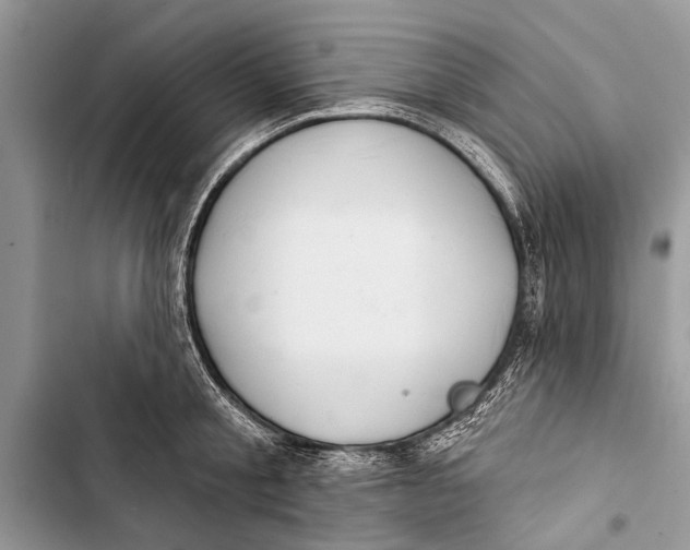 X0000103440805200810031412