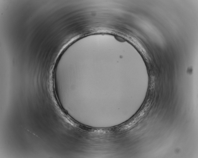 X0000103440806200810031412