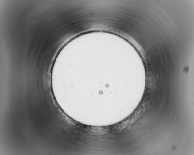 X0000103440807200810031412