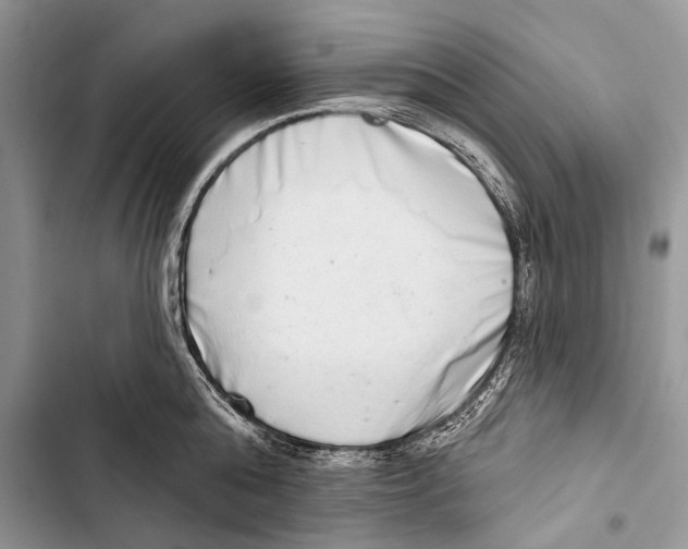 X0000103440808200810031412