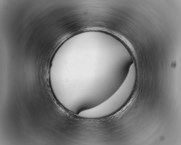 X0000103440809200810031412