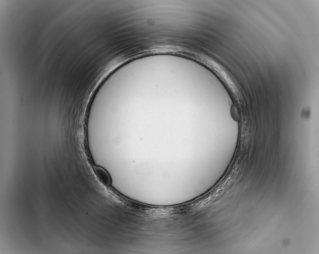 X0000103440810200810031412