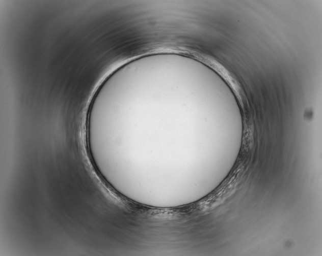 X0000103440811200810031412