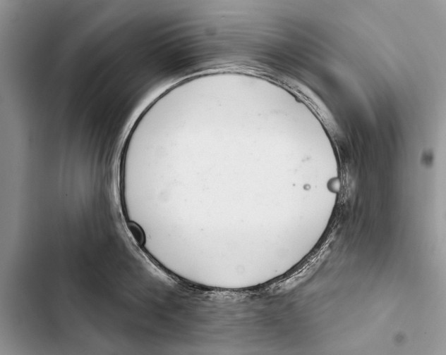 X0000103440812200810031411