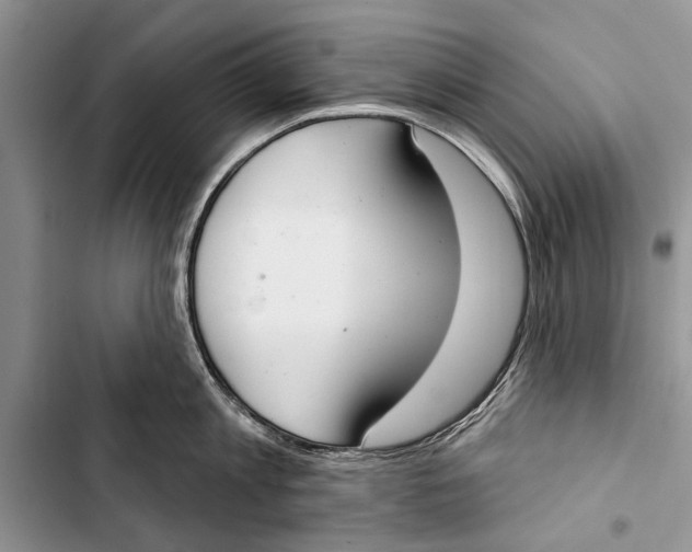 X0000103440813200810031411