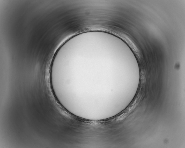 X0000103440814200810031411