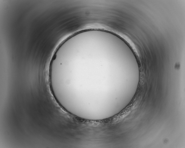 X0000103440815200810031411