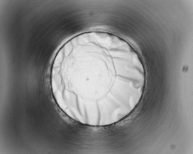 X0000103440816200810031411