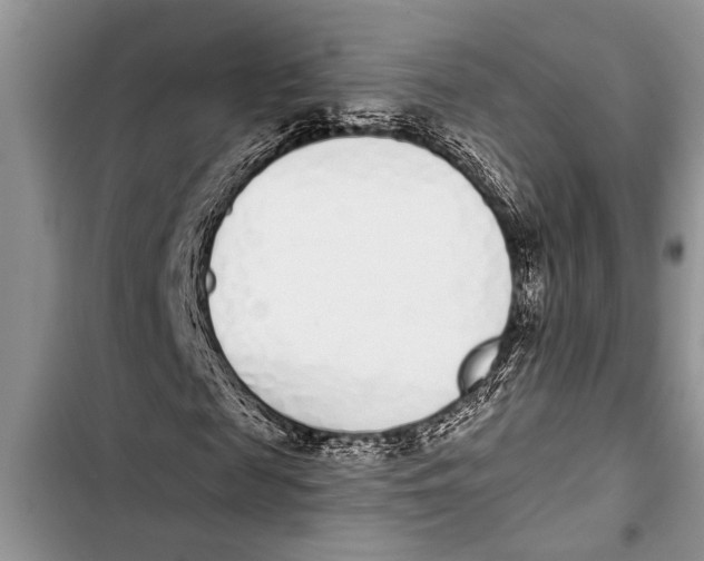 X0000103440817200810031411