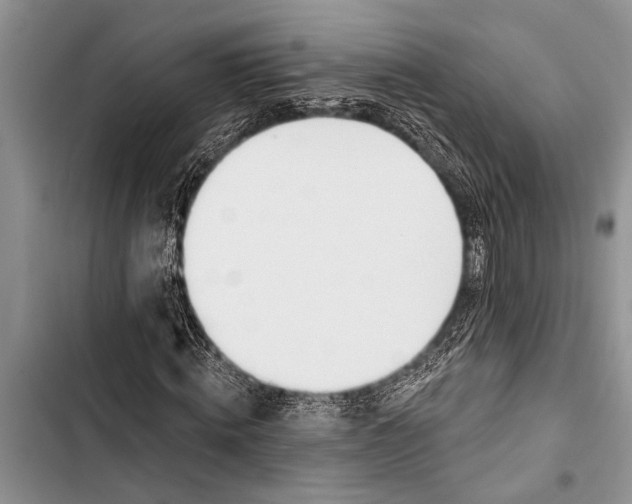 X0000103440820200810031411