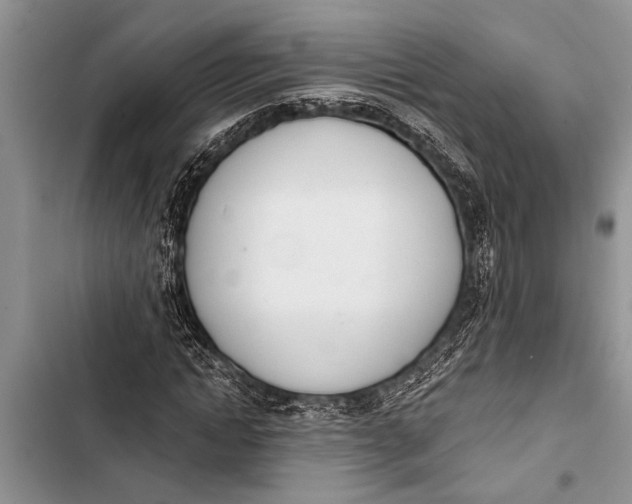 X0000103440822200810031411