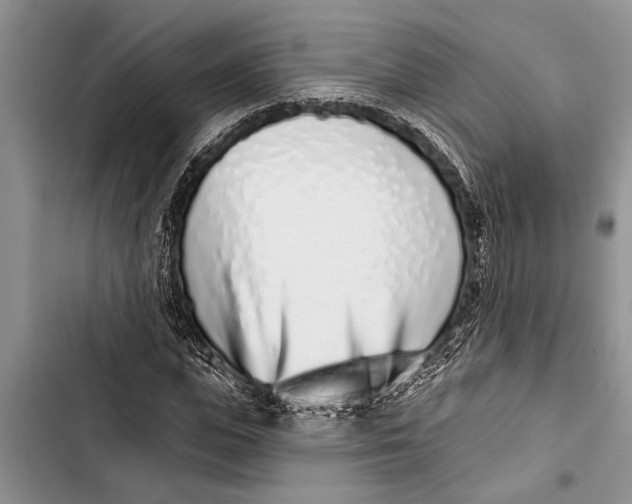 X0000103440823200810031411