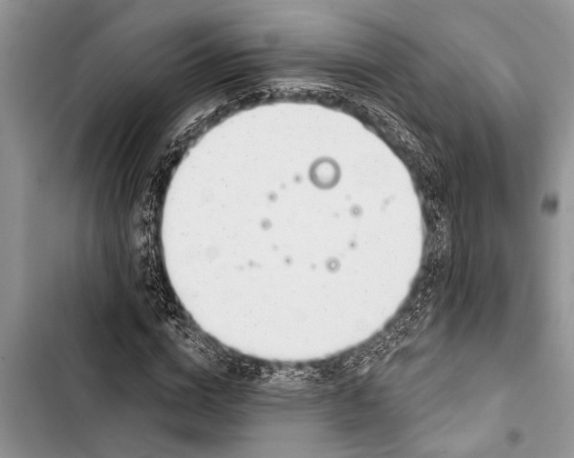X0000103440824200810031411