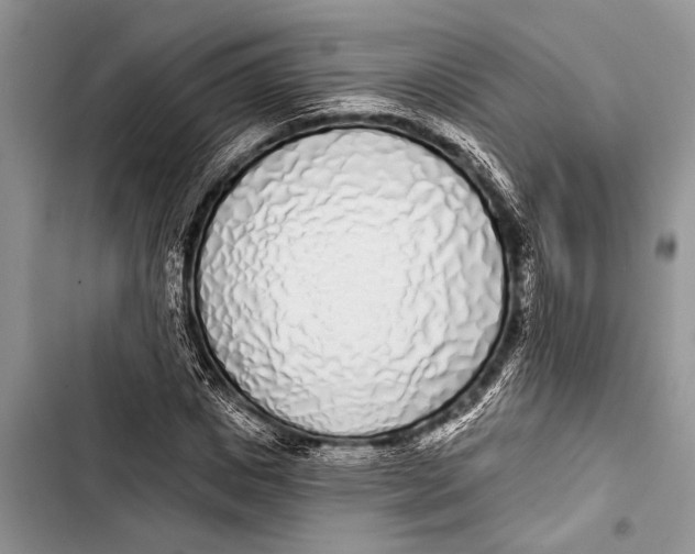 X0000103440825200810031411