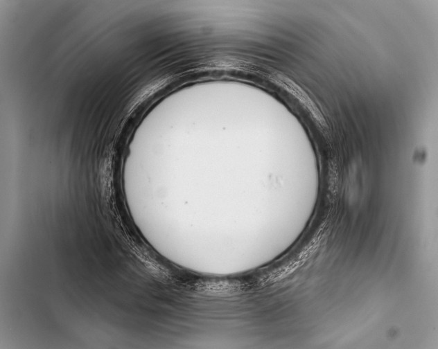 X0000103440826200810031411