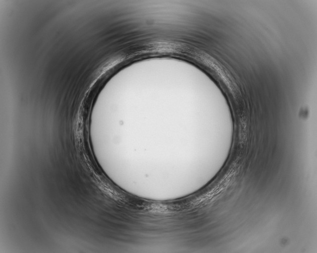 X0000103440827200810031411
