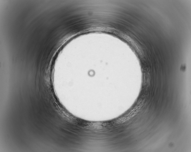 X0000103440828200810031411
