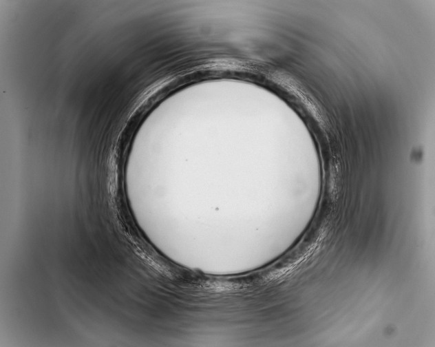 X0000103440829200810031411