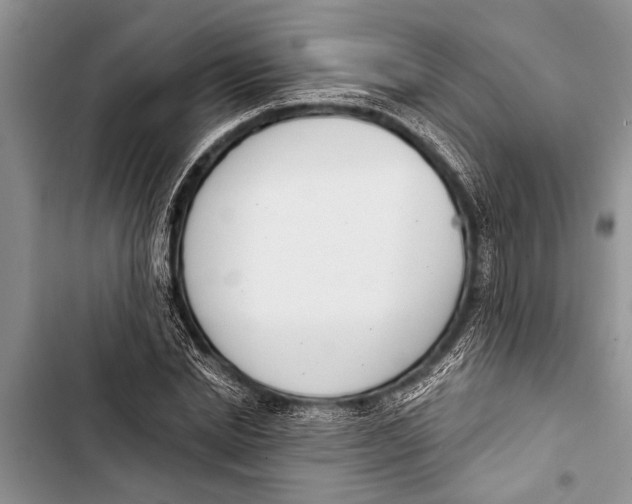 X0000103440830200810031411