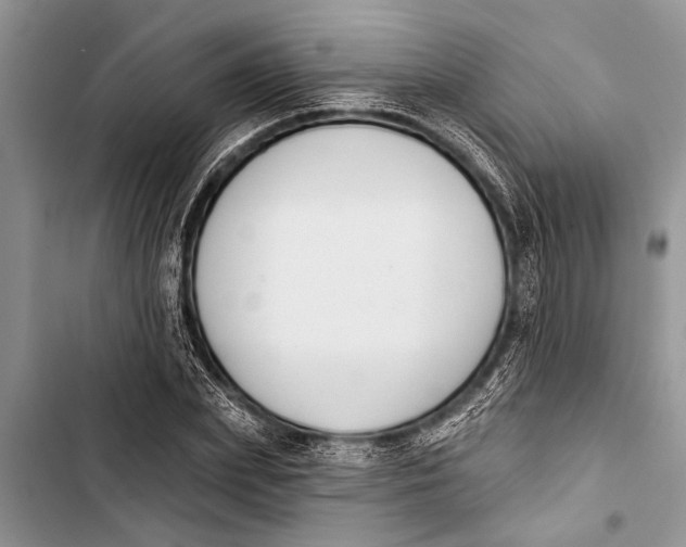 X0000103440831200810031411