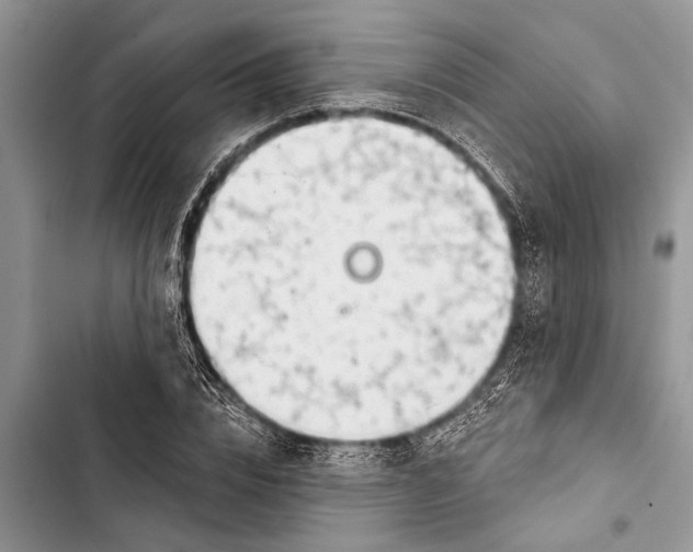 X0000103440832200810031411