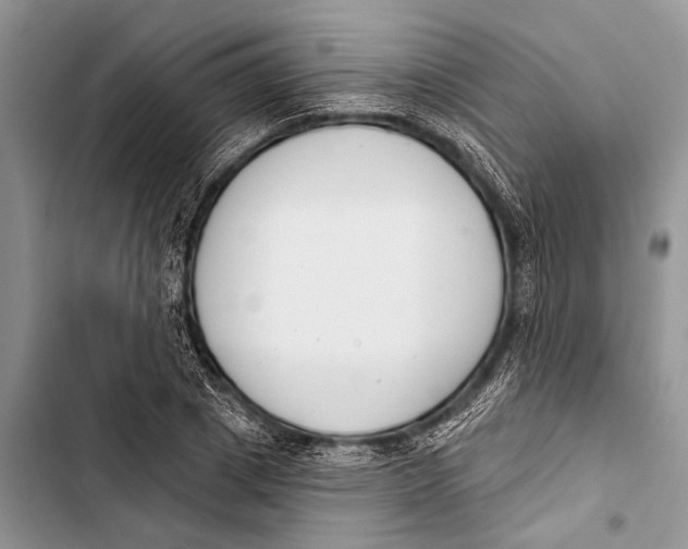 X0000103440833200810031411