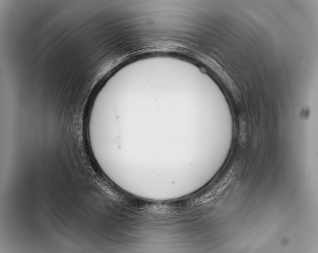 X0000103440834200810031411