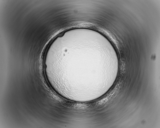 X0000103440835200810031411