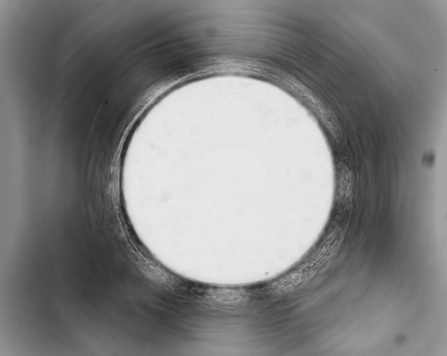 X0000103440836200810031411