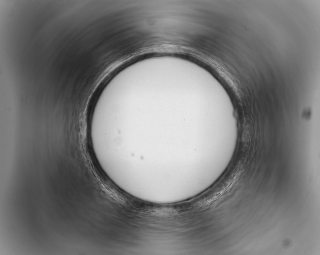 X0000103440837200810031411