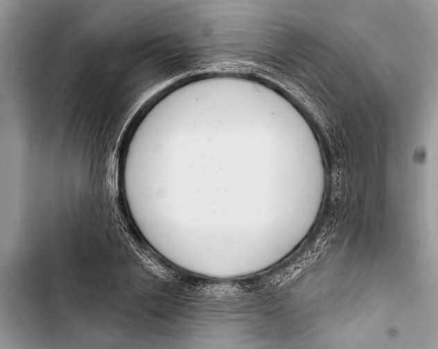 X0000103440838200810031411