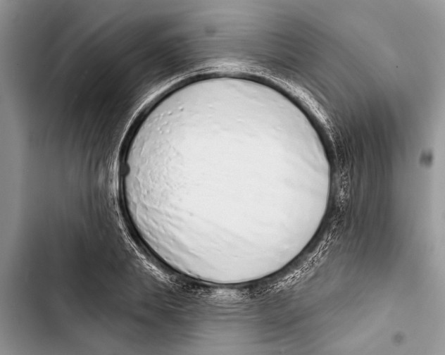 X0000103440839200810031411