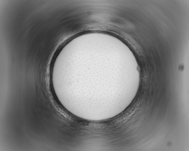 X0000103440840200810031411