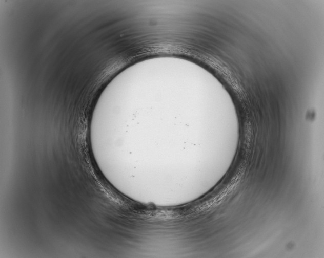 X0000103440841200810031411
