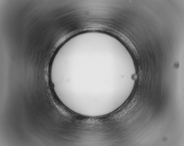 X0000103440842200810031411