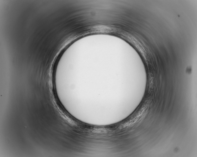 X0000103440843200810031411