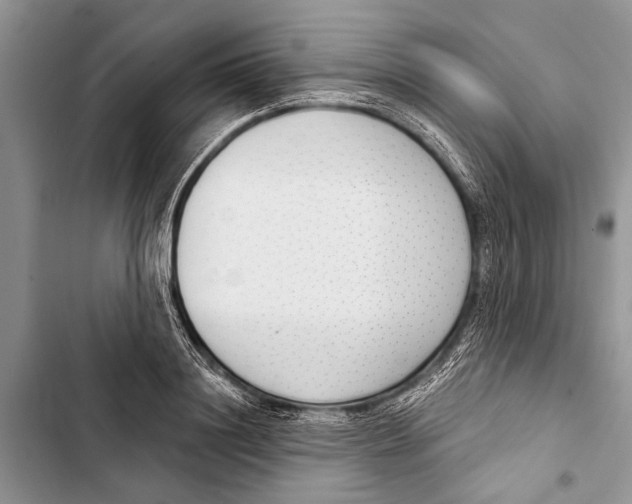 X0000103440844200810031411