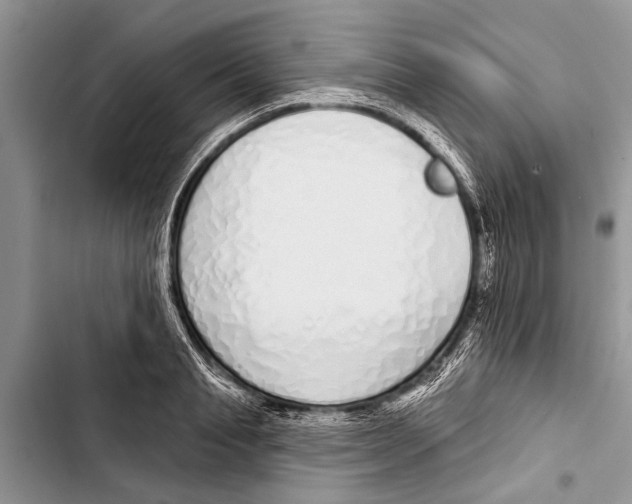 X0000103440845200810031411