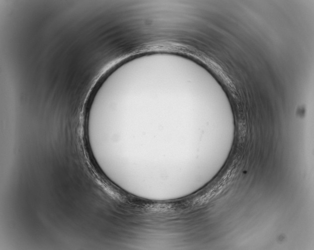 X0000103440846200810031411