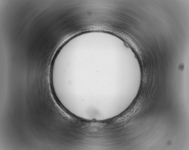 X0000103440847200810031411