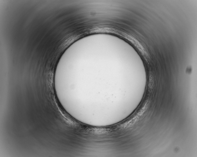 X0000103440849200810031411