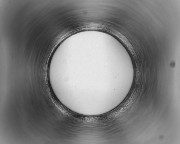 X0000103440850200810031411