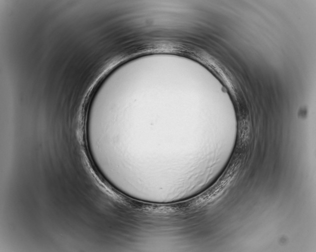 X0000103440851200810031411