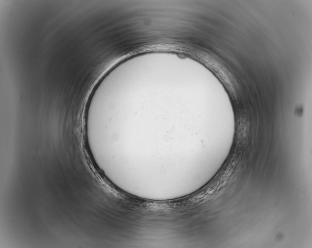 X0000103440852200810031411