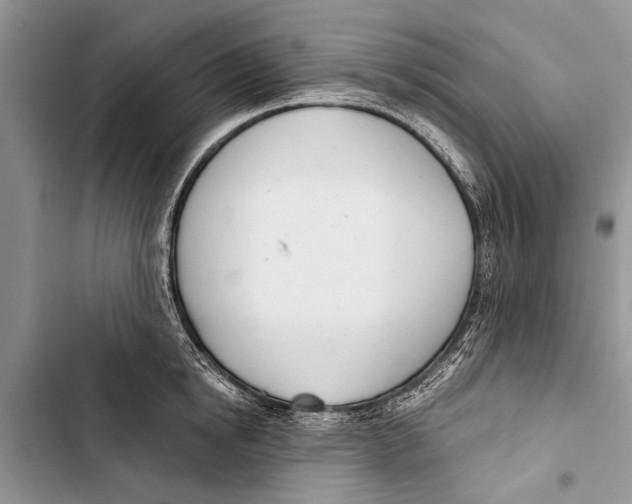X0000103440854200810031411
