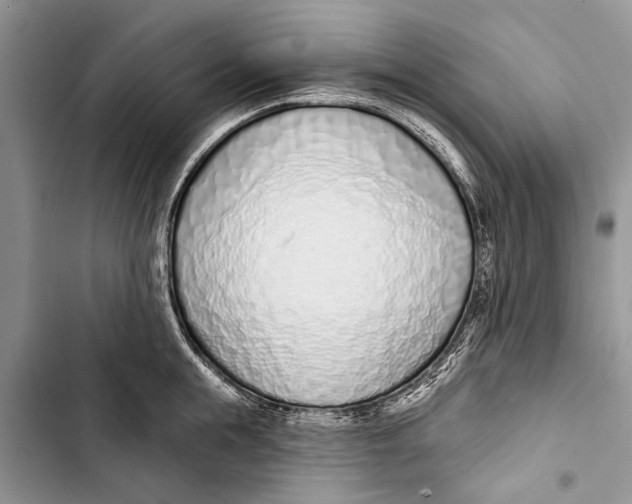 X0000103440855200810031411