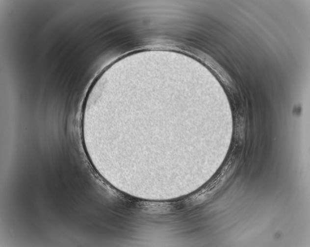 X0000103440856200810031411