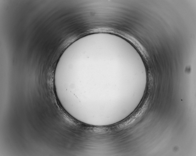 X0000103440857200810031411