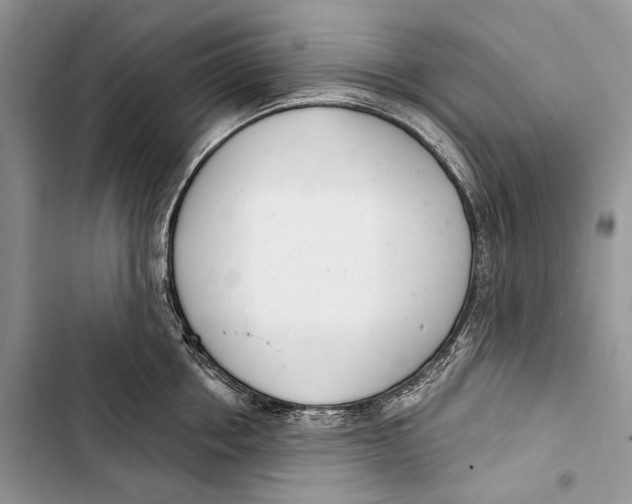 X0000103440858200810031411